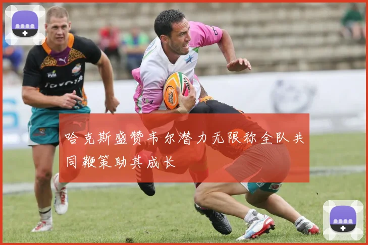 哈克斯盛赞韦尔潜力无限称全队共同鞭策助其成长