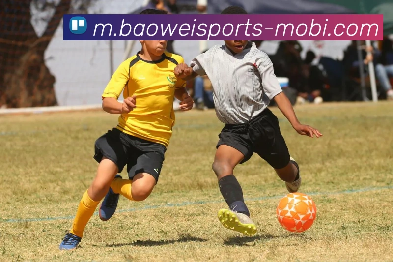 宝威体育平台生态图