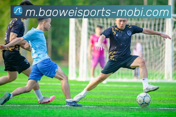 宝威体育APP 封面图